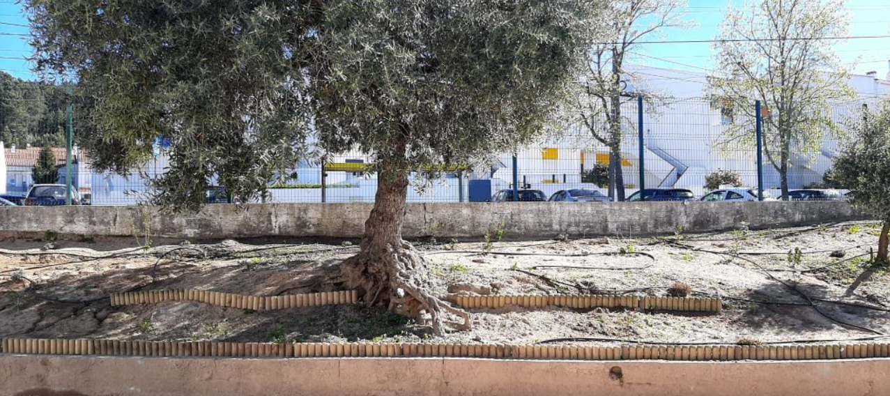 Captura de ecrã 2024-04-29 113604